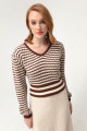 Women's Brown V-Neck Striped Knitwear Sweater